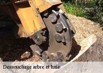 Dessouchage arbre et haie 44500