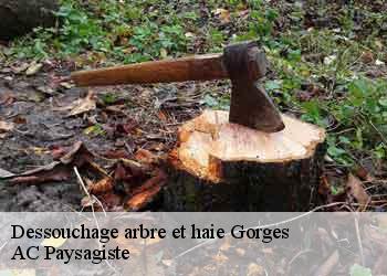Dessouchage arbre et haie gorges-44190 AC Paysagiste
