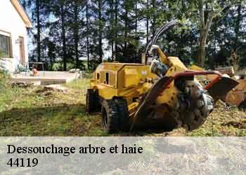 Dessouchage arbre et haie