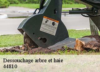 Dessouchage arbre et haie 44810