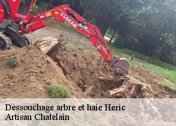 Dessouchage arbre et haie  heric-44810 Artisan Chatelain 