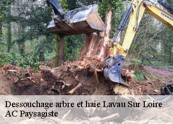 Dessouchage arbre et haie 44260