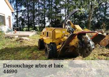 Dessouchage arbre et haie