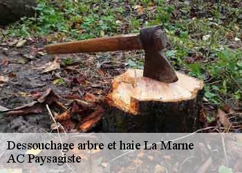 Dessouchage arbre et haie  la-marne-44270 AC Paysagiste