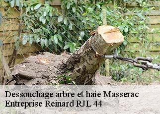 Dessouchage arbre et haie  masserac-44290 Entreprise Reinard RJL 44