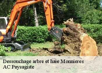 Dessouchage arbre et haie