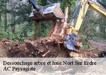 Dessouchage arbre et haie 44390