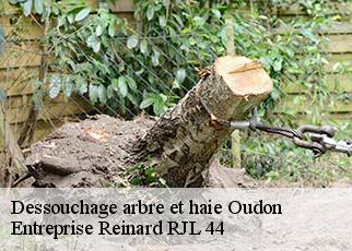 Dessouchage arbre et haie  oudon-44521 Entreprise Reinard RJL 44