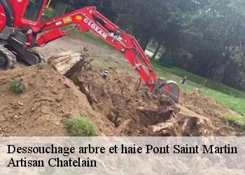 Dessouchage arbre et haie  pont-saint-martin-44860 Artisan Chatelain 