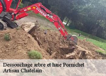 Dessouchage arbre et haie  pornichet-44380 Artisan Chatelain 