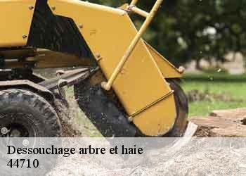 Dessouchage arbre et haie 44710