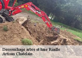 Dessouchage arbre et haie  riaille-44440 Artisan Chatelain 