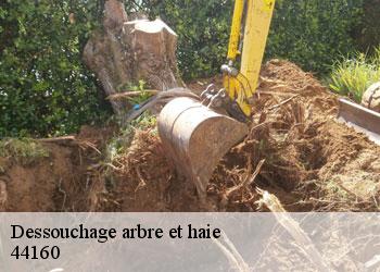 Dessouchage arbre et haie  44160