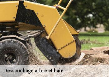 Dessouchage arbre et haie
