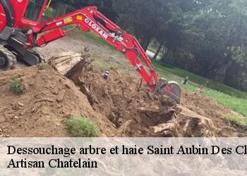 Dessouchage arbre et haie  saint-aubin-des-chateaux-44110 Artisan Chatelain 