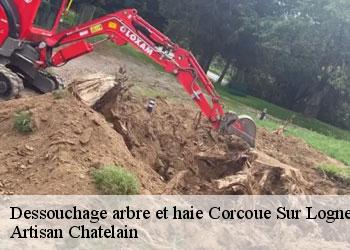 Dessouchage arbre et haie  corcoue-sur-logne-44650 Artisan Chatelain 