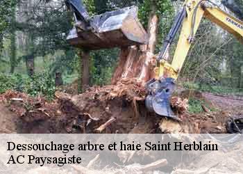 Dessouchage arbre et haie 44800