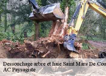 Dessouchage arbre et haie 44680