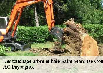 Dessouchage arbre et haie
