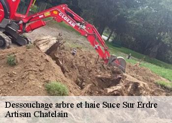 Dessouchage arbre et haie  suce-sur-erdre-44240 Artisan Chatelain 