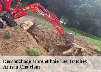 Dessouchage arbre et haie  les-touches-44390 Artisan Chatelain 