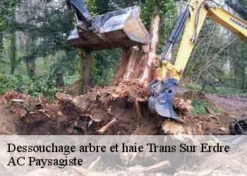 Dessouchage arbre et haie 44440