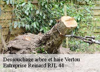 Dessouchage arbre et haie  vertou-44120 Entreprise Reinard RJL 44