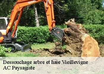 Dessouchage arbre et haie