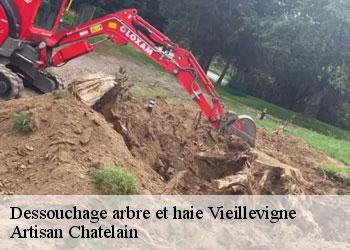 Dessouchage arbre et haie  vieillevigne-44116 Artisan Chatelain 