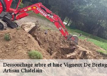 Dessouchage arbre et haie vigneux-de-bretagne-44360 Artisan Chatelain