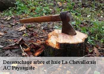 Dessouchage arbre et haie la-chevallerais-44810 AC Paysagiste