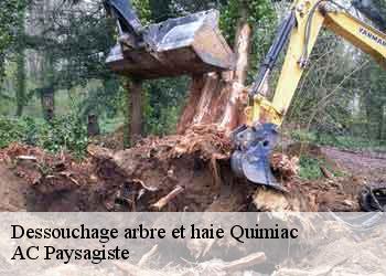 Dessouchage arbre et haie  44420