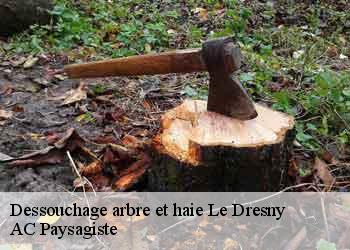 Dessouchage arbre et haie le-dresny-44630 AC Paysagiste
