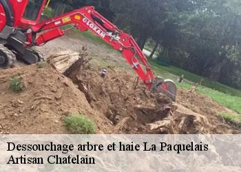 Dessouchage arbre et haie la-paquelais-44360 Artisan Chatelain