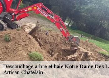 Dessouchage arbre et haie  notre-dame-des-langueurs-44440 Artisan Chatelain 
