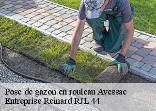 Pose de gazon en rouleau  avessac-44460 Entreprise Reinard RJL 44