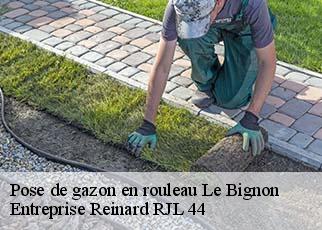 Pose de gazon en rouleau  le-bignon-44140 Entreprise Reinard RJL 44