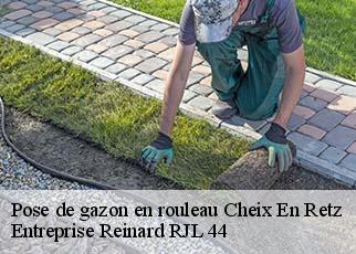 Pose de gazon en rouleau  cheix-en-retz-44640 Entreprise Reinard RJL 44