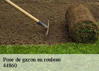 Pose de gazon en rouleau 44860