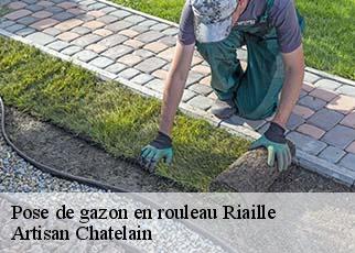 Pose de gazon en rouleau  riaille-44440 Artisan Chatelain 