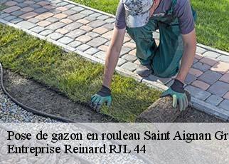 Pose de gazon en rouleau  saint-aignan-grandlieu-44860 Entreprise Reinard RJL 44