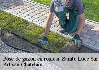 Pose de gazon en rouleau  sainte-luce-sur-loire-44980 Artisan Chatelain 