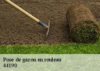 Pose de gazon en rouleau 44190