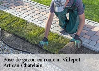 Pose de gazon en rouleau  villepot-44110 Artisan Chatelain 