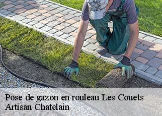 Pose de gazon en rouleau  les-couets-44340 Artisan Chatelain 
