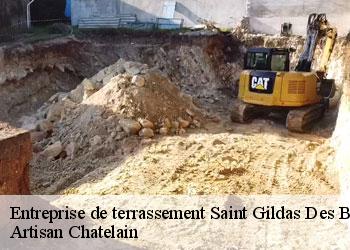 Entreprise de terrassement  saint-gildas-des-bois-44530 Artisan Chatelain 
