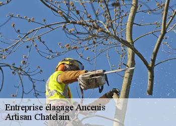 Entreprise élagage ancenis-44150 Artisan Chatelain