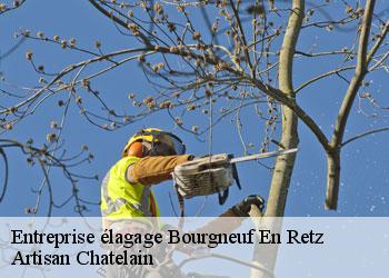 Entreprise élagage bourgneuf-en-retz-44580 Artisan Chatelain