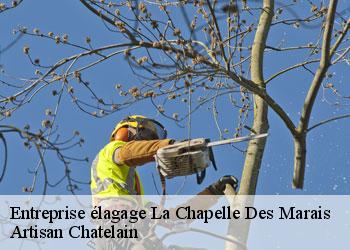 Entreprise élagage  la-chapelle-des-marais-44410 Artisan Chatelain 
