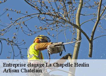 Entreprise élagage la-chapelle-heulin-44330 Artisan Chatelain